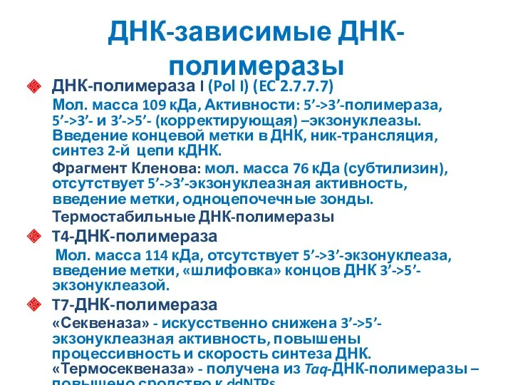 ДНК-зависимые ДНК-полимеразы ДНК-полимераза I (Pol I) (EC 2.7.7.7) Мол. масса 109 кДа, Активности: