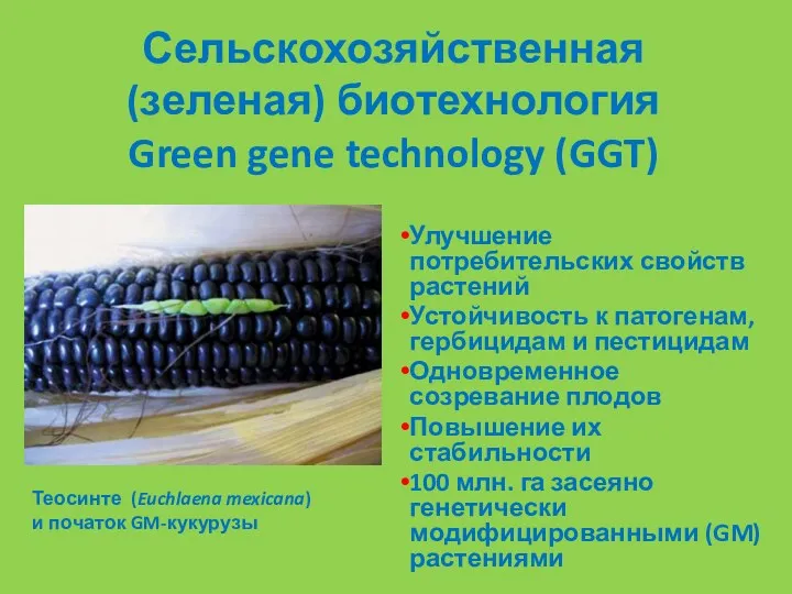 Сельскохозяйственная (зеленая) биотехнология Green gene technology (GGT) Улучшение потребительских свойств растений Устойчивость к