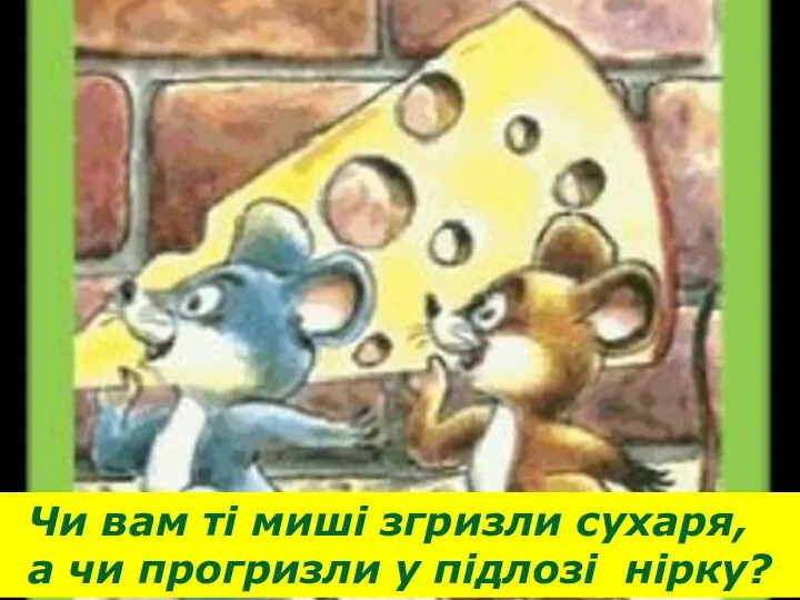 Чи вам ті миші згризли сухаря, а чи прогризли у підлозі нірку?