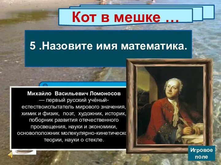 Михаил; Николай; Никита. Кот в мешке … 5 .Назовите имя математика. Игровое поле