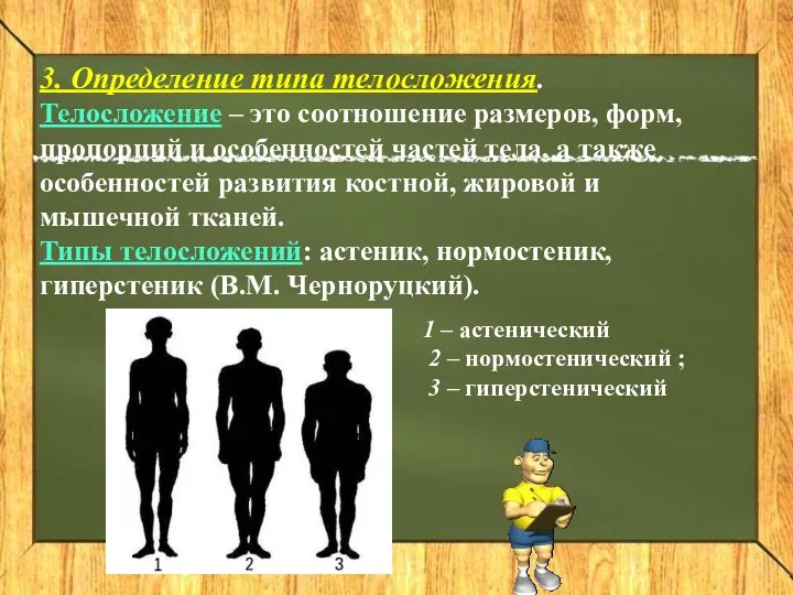 3. Определение типа телосложения. Телосложение – это соотношение размеров, форм,