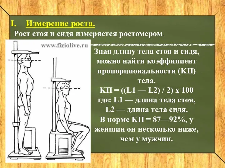 Измерение роста. Рост стоя и сидя измеряется ростомером. Зная длину