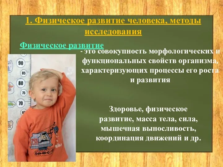 1. Физическое развитие человека, методы исследования - это совокупность морфологических