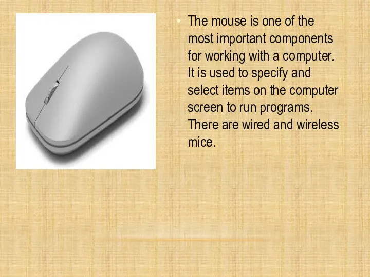 The mouse is one of the most important components for