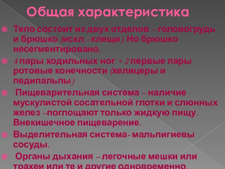 Общая характеристика Тело состоит из двух отделов – головогрудь и