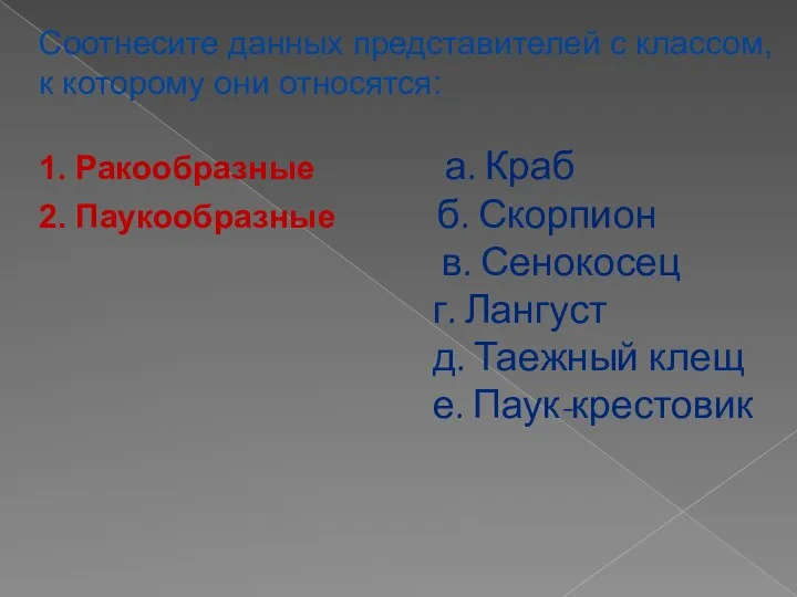 Соотнесите данных представителей с классом, к которому они относятся: 1.