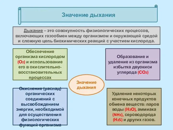 Значение дыхания Значение дыхания Дыхание – это совокупность физиологических процессов,