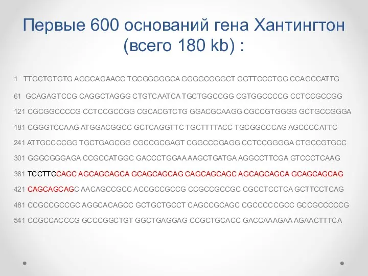 Первые 600 оснований гена Хантингтон (всего 180 kb) : 1