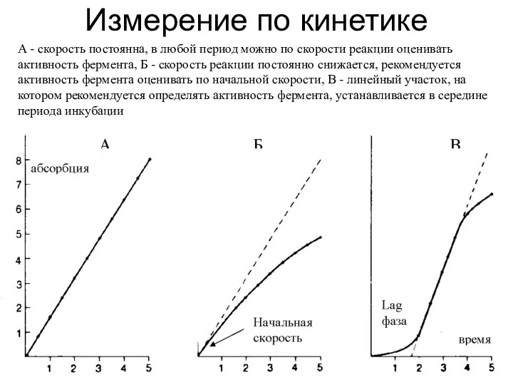 Измерение по кинетике А - скорость постоянна, в любой период