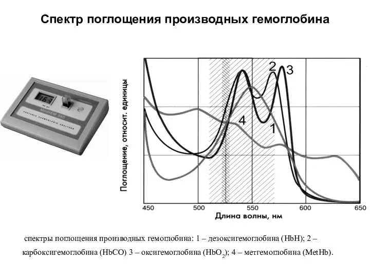 Спектр поглощения производных гемоглобина спектры поглощения производных гемоглобина: 1 –