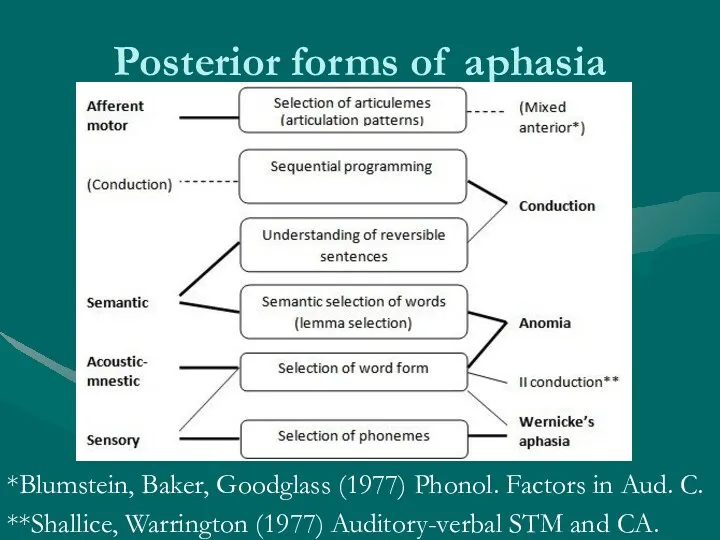 Posterior forms of aphasia *Blumstein, Baker, Goodglass (1977) Phonol. Factors