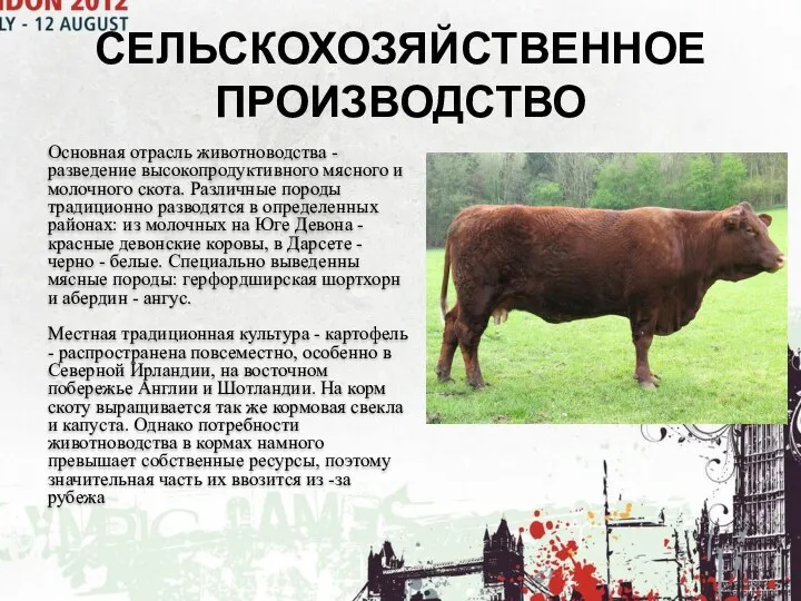 Основная отрасль животноводства - разведение высокопродуктивного мясного и молочного скота.