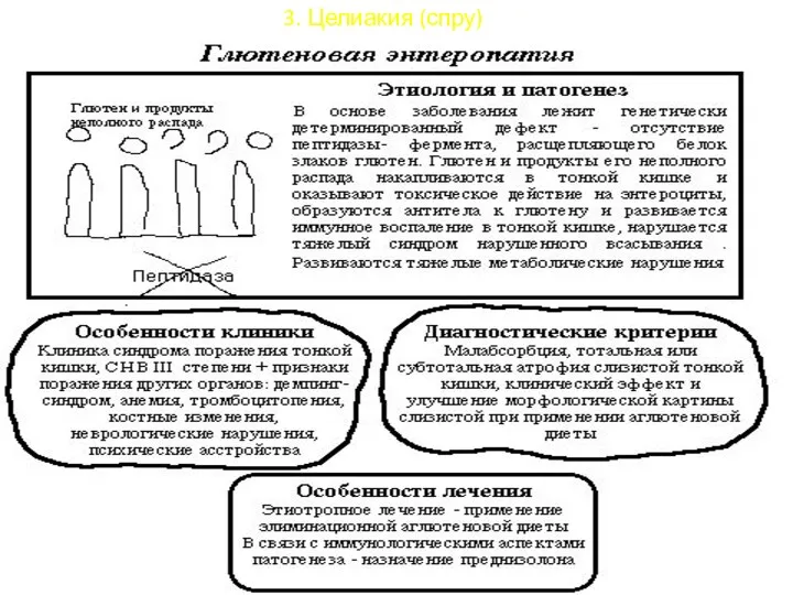 3. Целиакия (спру)