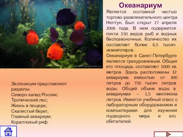 Океанариум Является составной частью торгово-развлекательного центра Нептун. Был открыт 27