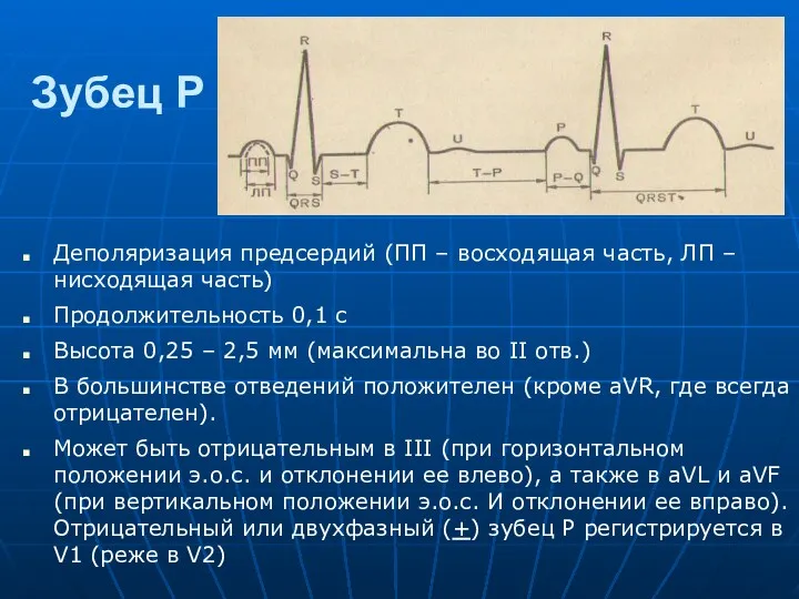 Зубец Р Деполяризация предсердий (ПП – восходящая часть, ЛП – нисходящая часть) Продолжительность