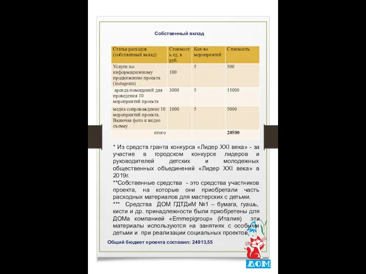 Собственный вклад Общий бюджет проекта составил: 24913,55 * Из средств