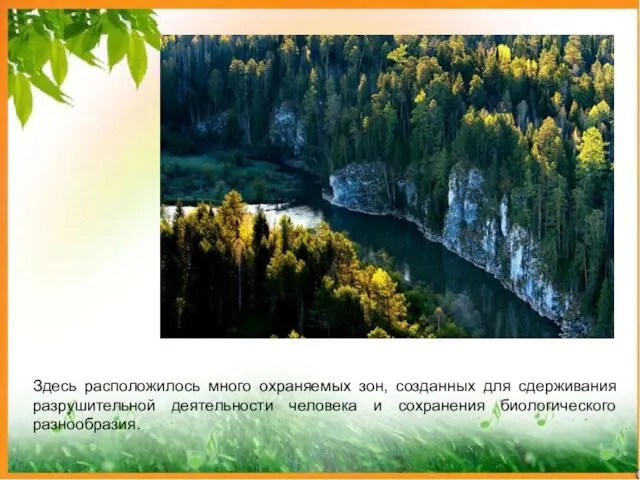 Здесь расположилось много охраняемых зон, созданных для сдерживания разрушительной деятельности человека и сохранения биологического разнообразия.