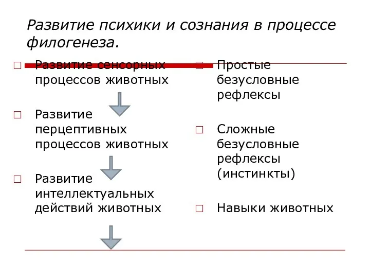 Развитие психики и сознания в процессе филогенеза. Развитие сенсорных процессов