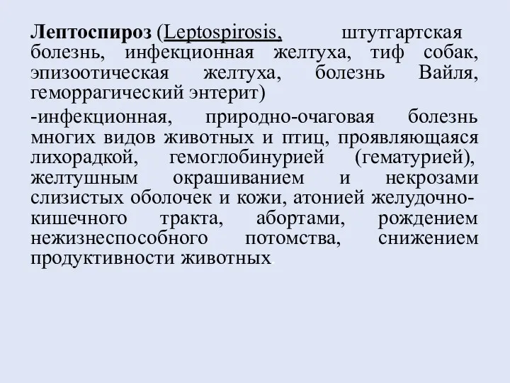 Лептоспироз (Leptospirosis, штутгартская болезнь, инфекционная желтуха, тиф собак, эпизоотическая желтуха,