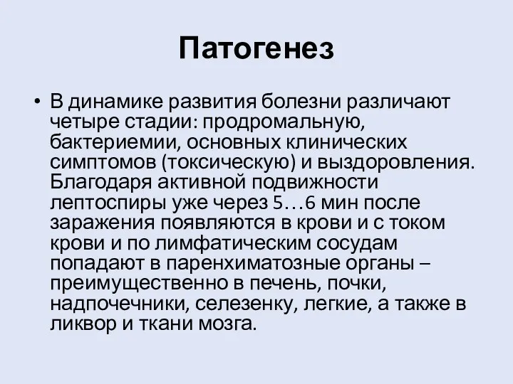 Патогенез В динамике развития болезни различают четыре стадии: продромальную, бактериемии,