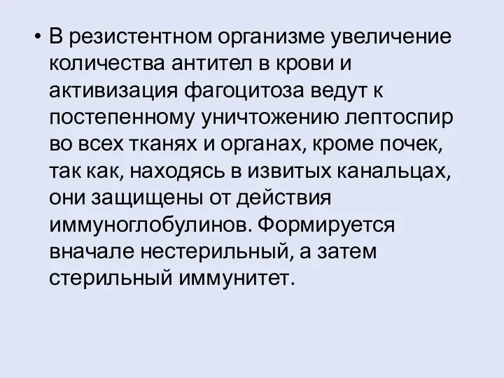 В резистентном организме увеличение количества антител в крови и активизация