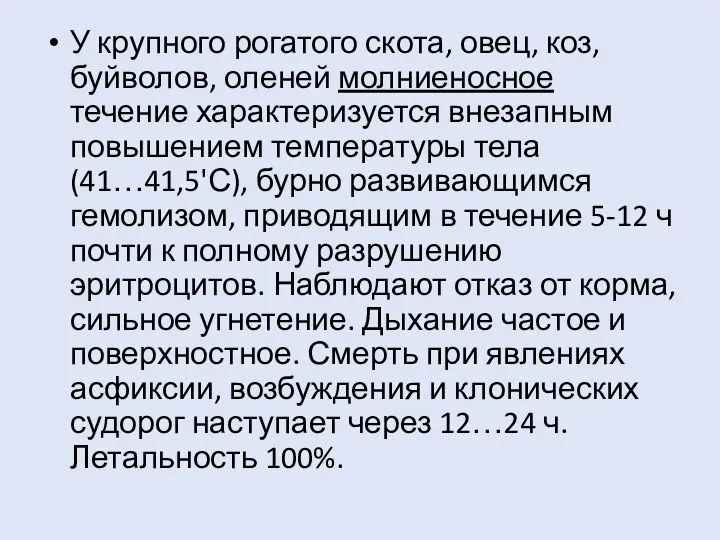 У крупного рогатого скота, овец, коз, буйволов, оленей молниеносное течение