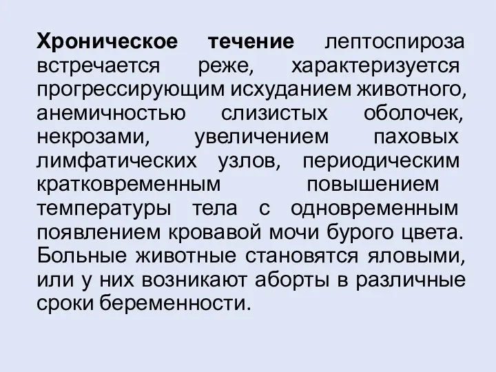 Хроническое течение лептоспироза встречается реже, характеризуется прогрессирующим исхуданием животного, анемичностью