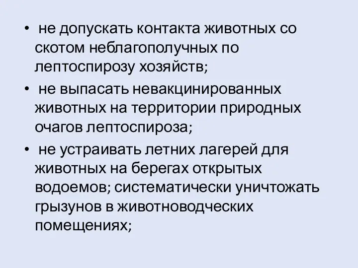 не допускать контакта животных со скотом неблагополучных по лептоспирозу хозяйств;