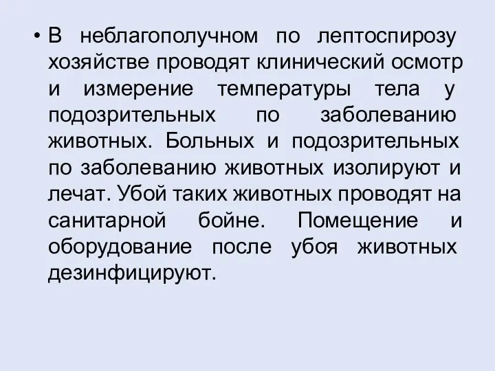 В неблагополучном по лептоспирозу хозяйстве проводят клинический осмотр и измерение