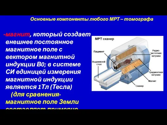 магнит, который создает внешнее постоянное магнитное поле с вектором магнитной