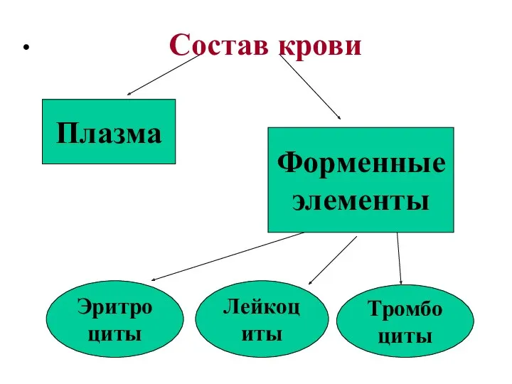 Состав крови Плазма Форменные элементы Эритроциты Лейкоциты Тромбоциты