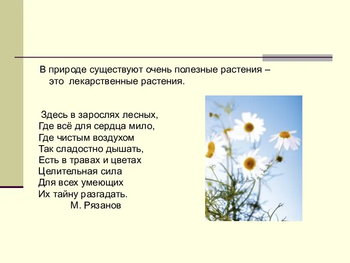 В природе существуют очень полезные растения – это лекарственные растения.