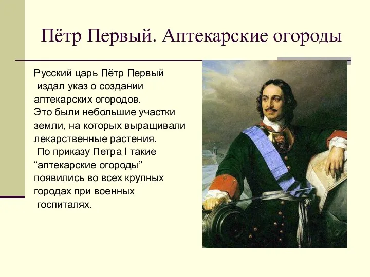 Пётр Первый. Аптекарские огороды Русский царь Пётр Первый издал указ