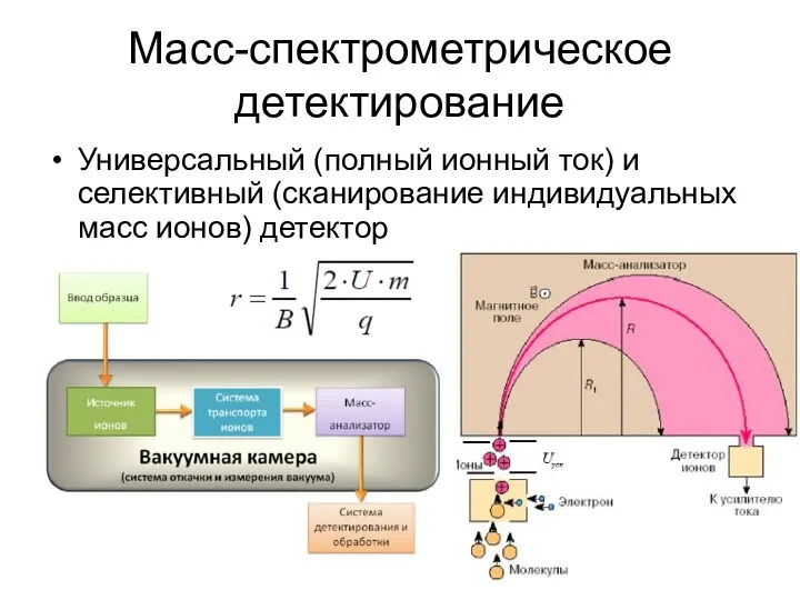 Масс-спектрометрическое детектирование Универсальный (полный ионный ток) и селективный (сканирование индивидуальных масс ионов) детектор