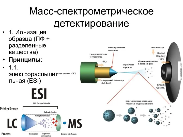 Масс-спектрометрическое детектирование 1. Ионизация образца (ПФ + разделенные вещества) Принципы: 1.1. электрораспылительная (ESI)