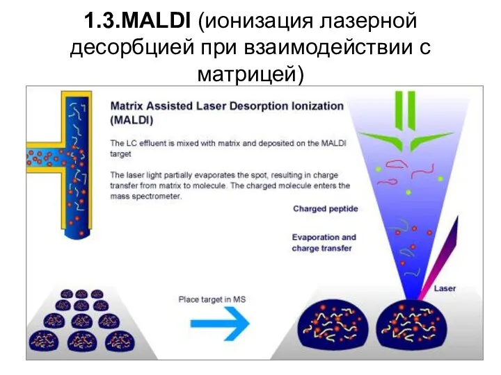 1.3.MALDI (ионизация лазерной десорбцией при взаимодействии с матрицей)