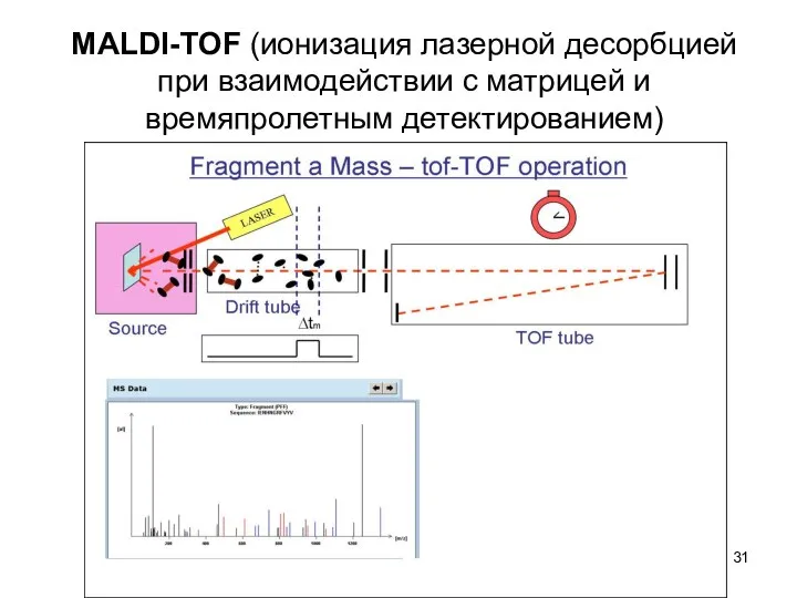 MALDI-TOF (ионизация лазерной десорбцией при взаимодействии с матрицей и времяпролетным детектированием)