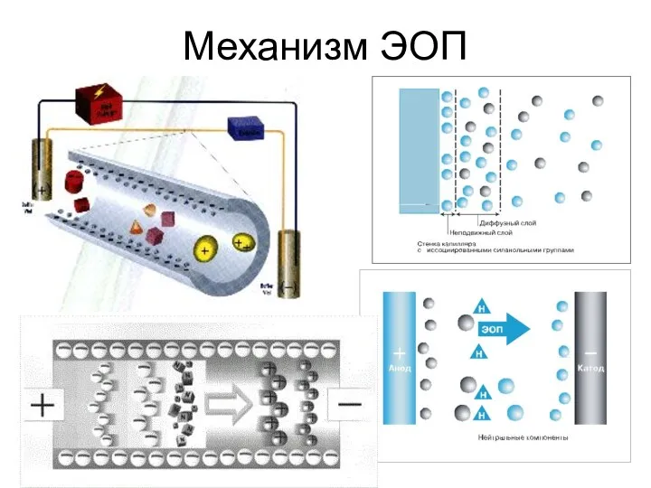 Механизм ЭОП