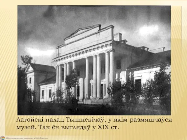 Лагойскі палац Тышкевічаў, у якім размяшчаўся музей. Так ён выглядаў у XIX ст.