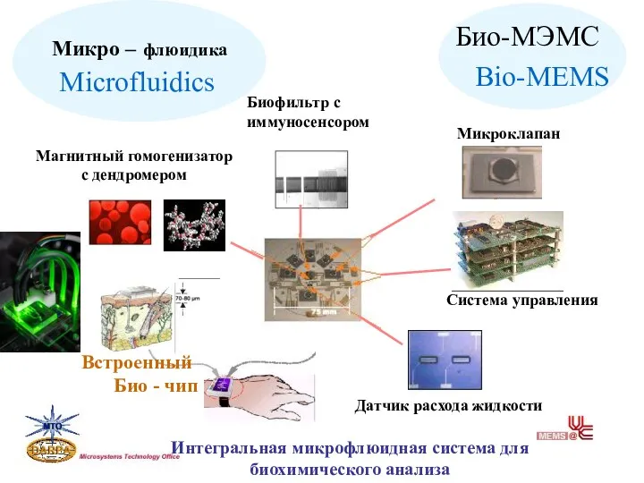 Био-МЭМС Bio-MEMS Микро – флюидика Microfluidics Микроклапан Биофильтр с иммуносенсором Система управления Датчик