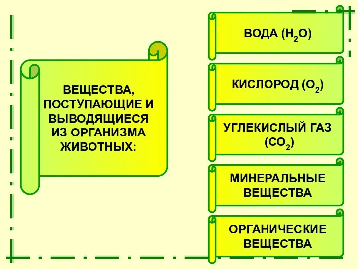 ВЕЩЕСТВА, ПОСТУПАЮЩИЕ И ВЫВОДЯЩИЕСЯ ИЗ ОРГАНИЗМА ЖИВОТНЫХ: МИНЕРАЛЬНЫЕ ВЕЩЕСТВА ОРГАНИЧЕСКИЕ