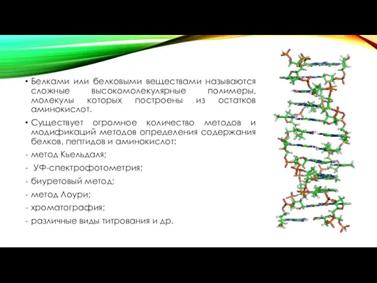 Белками или белковыми веществами называются сложные высокомолекулярные полимеры, молекулы которых