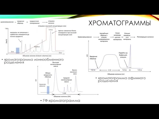 ХРОМАТОГРАММЫ хроматограмма ионнообменного разделения хроматограмма афинного разделения ГФ-хроматограмма