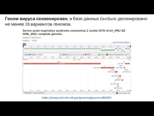 Геном вируса секвенирован, в базе данных GenBank депонировано не менее 28 вариантов геномов. https://www.ncbi.nlm.nih.gov/genome/genomes/86693?