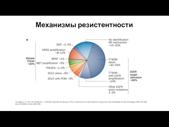 Механизмы резистентности Camidge, D. R., Pao, W., & Sequist, L.