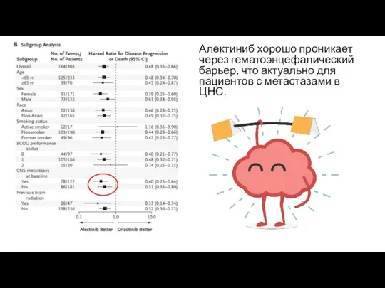 Алектиниб хорошо проникает через гематоэнцефалический барьер, что актуально для пациентов с метастазами в ЦНС.