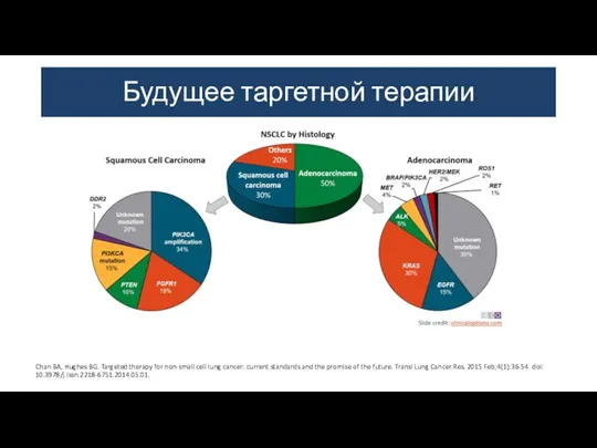 Будущее таргетной терапии Chan BA, Hughes BG. Targeted therapy for