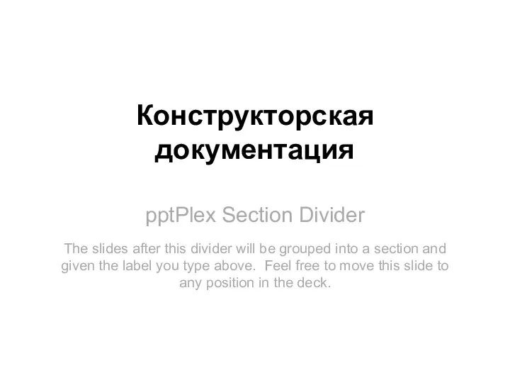 pptPlex Section Divider Конструкторская документация The slides after this divider