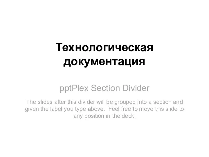 pptPlex Section Divider Технологическая документация The slides after this divider
