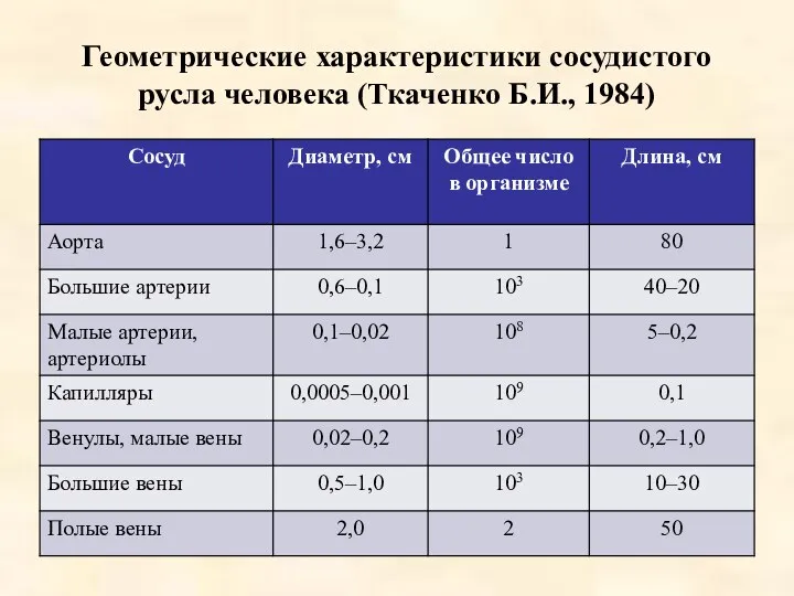 Геометрические характеристики сосудистого русла человека (Ткаченко Б.И., 1984)